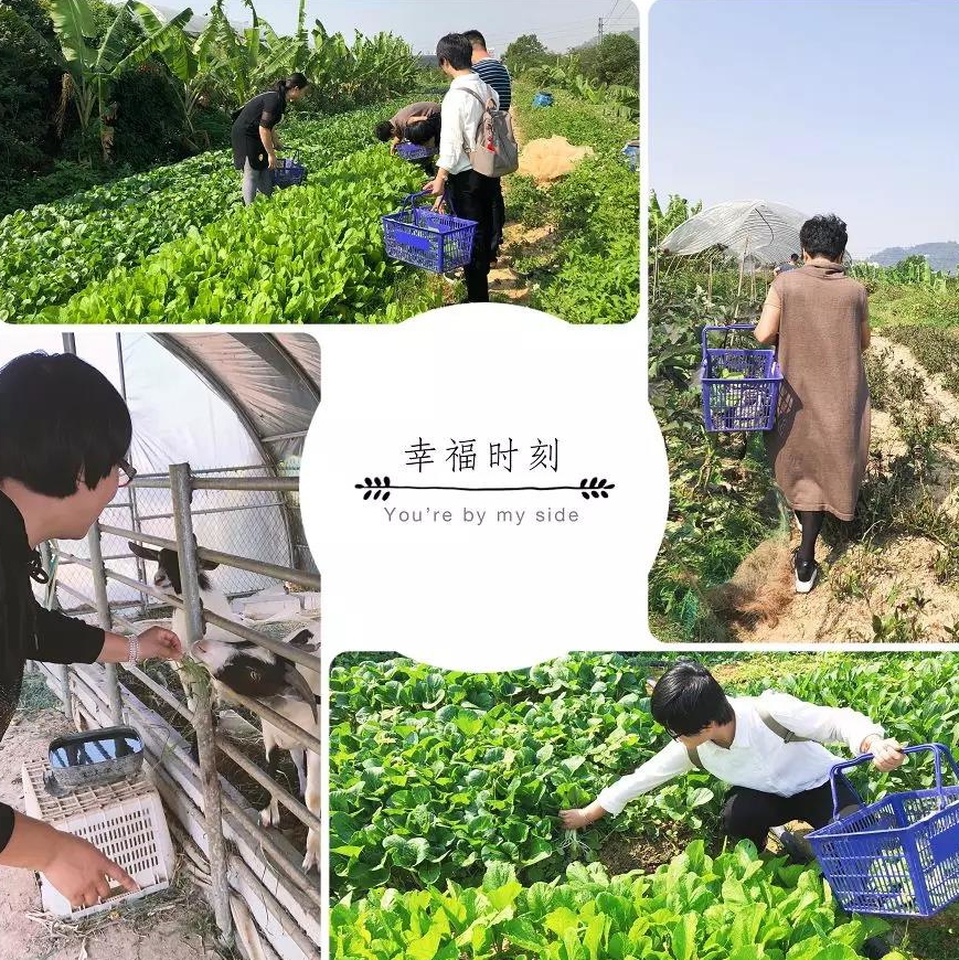 微信图片_20180904155058_看图王.jpg